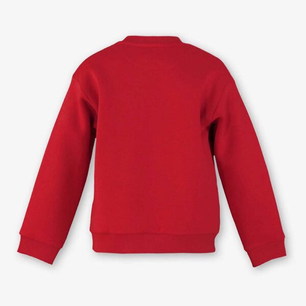Sudadera de niño rojo empolvado 3813041 Miranda Textil