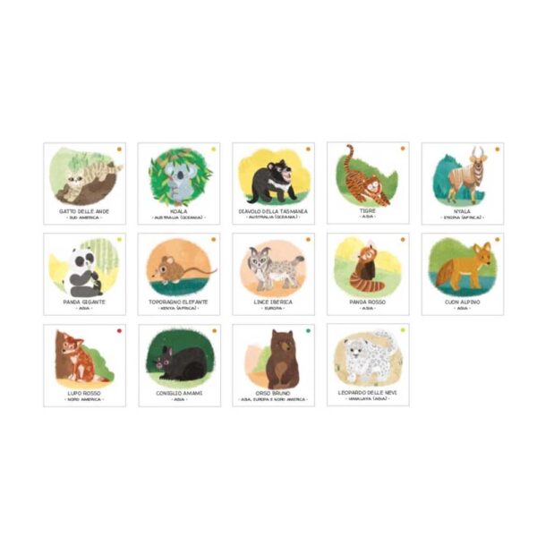 Libro Animales por salvar los bosques Manolito Books